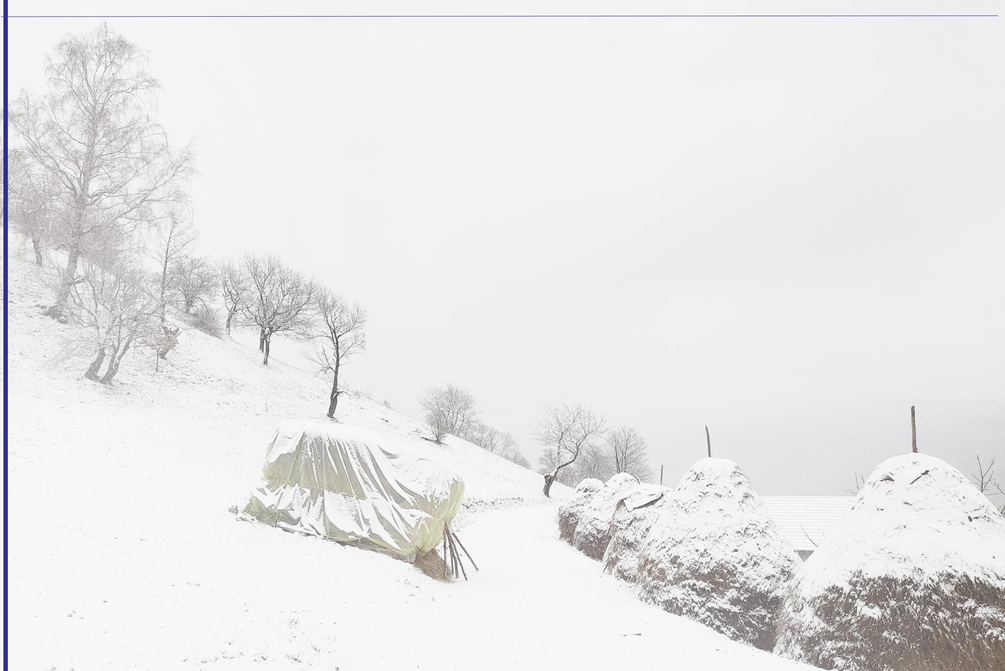 Bora mbulon fshatin e Suharekës!